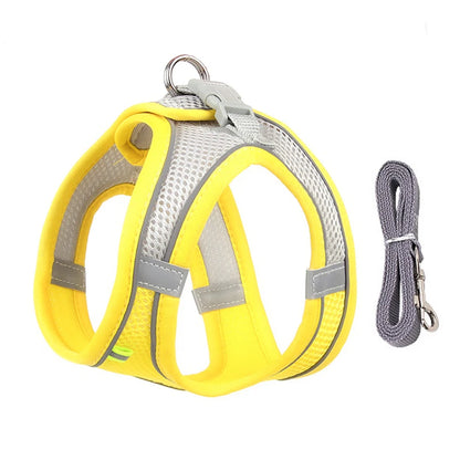 Adjustable Dog Harness & Leash