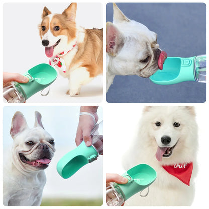 Travel Pet Hydration Bottle