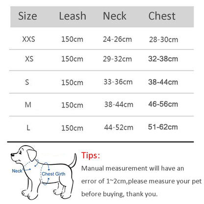 Adjustable Dog Harness & Leash