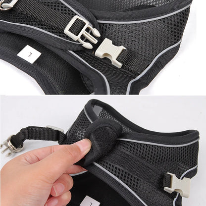 Adjustable Dog Harness & Leash