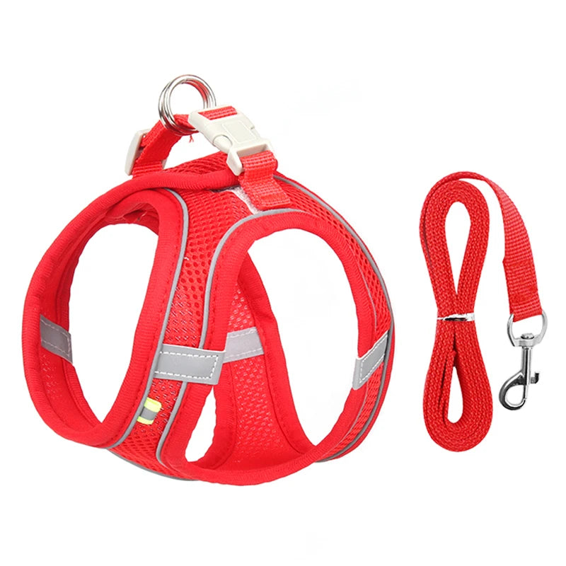 Adjustable Dog Harness & Leash