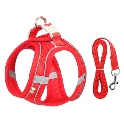 Adjustable Dog Harness & Leash