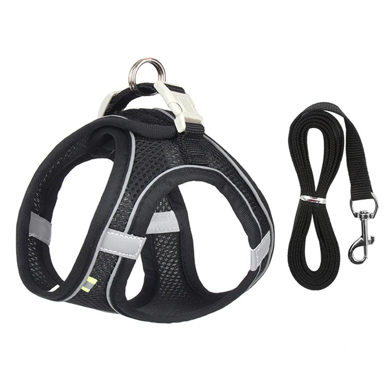 Adjustable Dog Harness & Leash