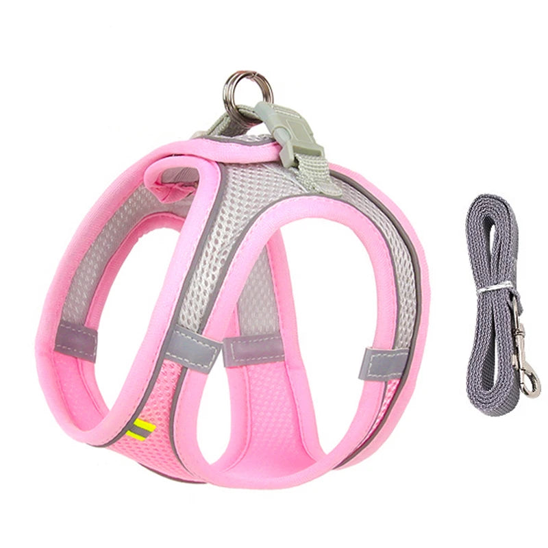 Adjustable Dog Harness & Leash