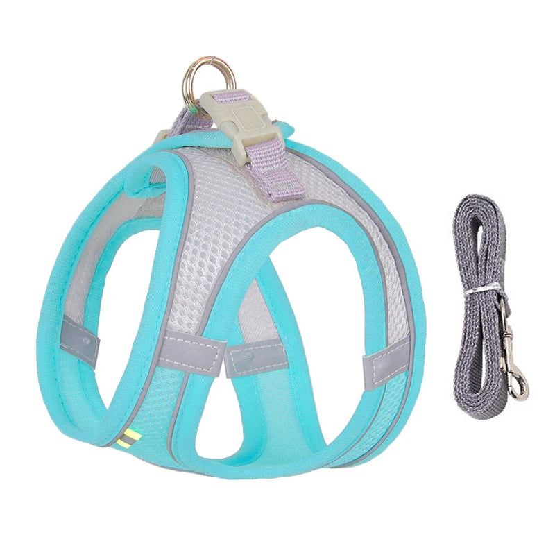 Adjustable Dog Harness & Leash